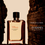 Hermes Terre D'Hermes Parfum Intense 100ml - 2