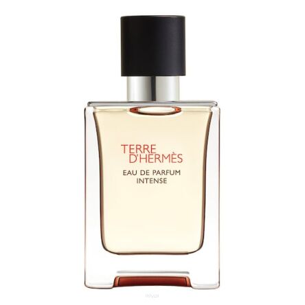 Hermes Terre D'Hermes Parfum Intense 100ml
