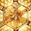 Guerlain Abeille Royale Honey Treatment Rich Cream Krem Na Dzień 50ml - 4