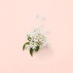 Gucci Bloom Woda Toaletowa 30ml - 3