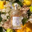 Guerlain Aqua Allegoria Bergamote Calabria Woda Toaletowa 125ml - 3
