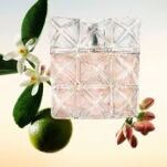 Issey Miyake Lumiere D'Issey Woda Perfumowana 50ml - 3