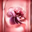 Lancome Idôle Power L'Eau de Parfum Intense Woda Perfumowana 25ml - 5