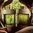 Bvlgari Wood Essence PARFUM 60ml - 5