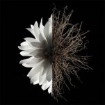 Givenchy L'Interdit Intense Woda Perfumowana 50ml - 3