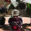 Christian Dior Poison Woda Toaletowa 100ml - 2
