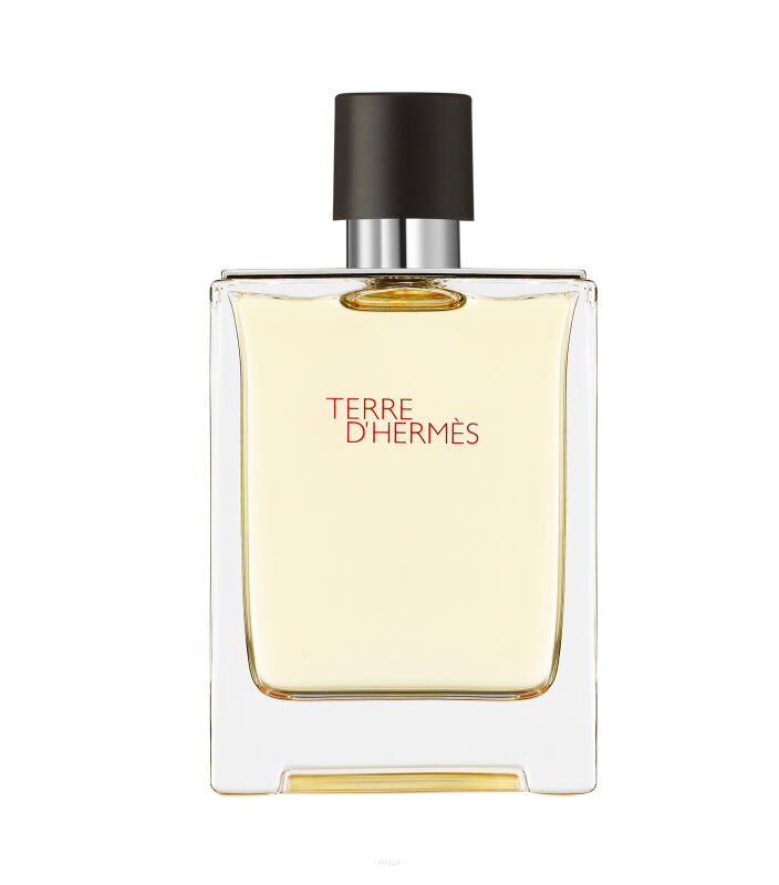 hermes terre d'hermes woda toaletowa 100 ml    