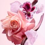 Narciso Rodriguez All Of Me Woda Perfumowana 90ml - 3