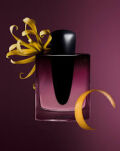 Shiseido Ginza Datura Woda Perfumowana 50ml - 3