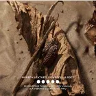 Burberry Hero Elixir De Parfum Intense 60ml - 5