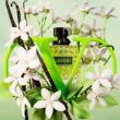 Valentino Donna Born In Roma Green Stravaganza Woda Perfumowana 50ml - 3