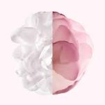 Givenchy Irresistible Rose Very Floral Woda Perfumowana 50ml - 5