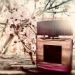 Tom Ford Café Rose Woda Perfumowana 50ml - 2