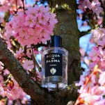 Acqua Di Parma Sakura Woda Perfumowana 100ml - 5